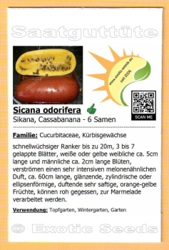 Sicana odorifera, 6 Samen